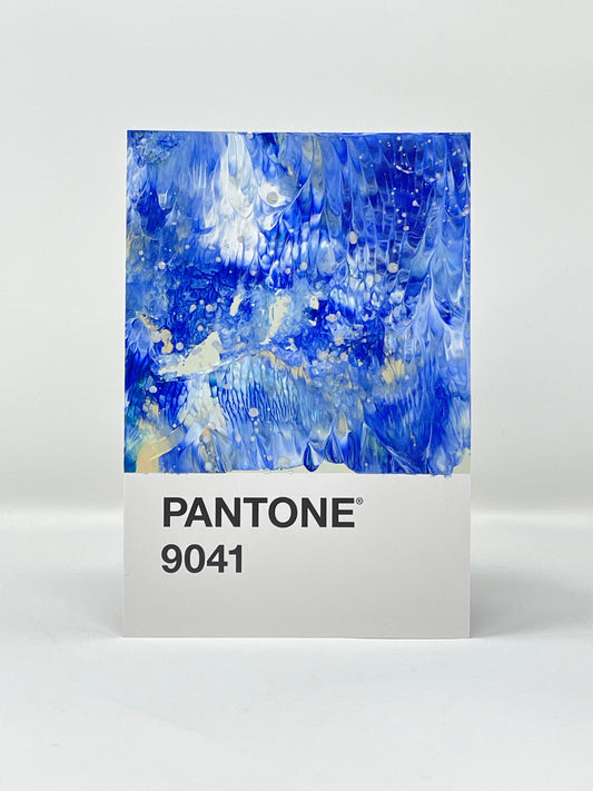 Pantone 9041