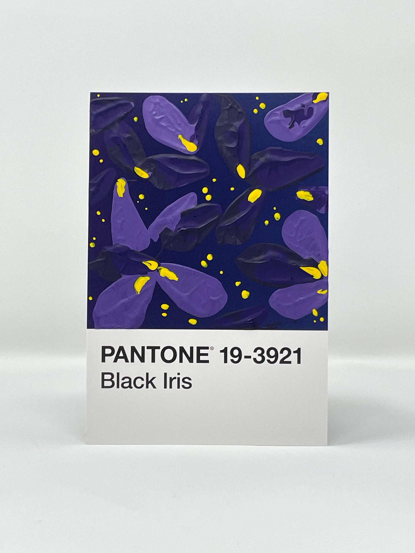 Pantone 19-3921 Black Iris