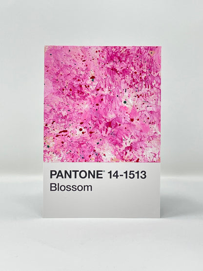 Pantone 14-1513 Blossom