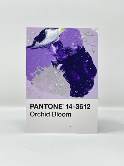 Pantone 14-3612 Orchid Bloom